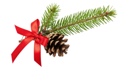 Christmas Pine Branch and Cone with Red Ribbon Bow Isolated Design Element isolated PNG with Transparent Background