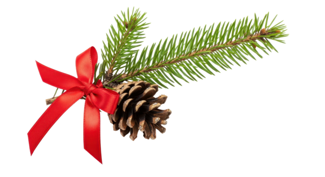 Christmas Pine Branch and Cone with Red Ribbon Bow Isolated Design Element isolated PNG with Transparent Background