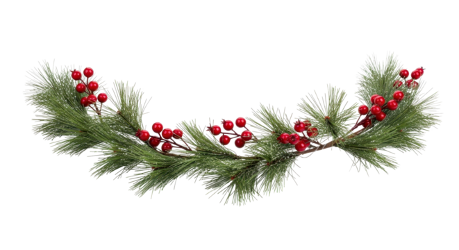 Isolated Festive Christmas Pine Branch Garland with Bright Red Holly Berries isolated PNG with Transparent Background