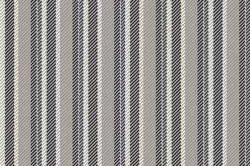 India pattern background texture, occupation vector seamless fabric. Wallpaper stripe lines textile vertical in grey and black colors.