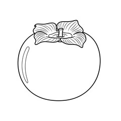 Simple line drawing of a persimmon fruit