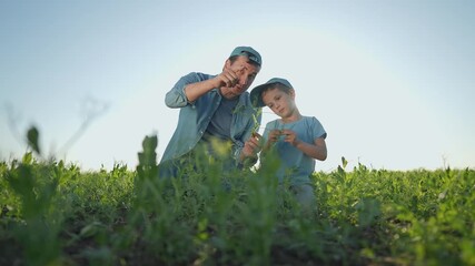 Father sits with son in field. Child learns about plant as father teaches. Father child enjoy green outdoor lesson touching leaves. Summer sun shines on field where boy studies nature with father. - Powered by Adobe