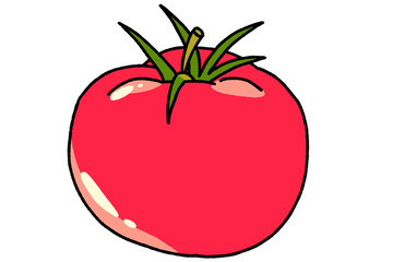 토마토