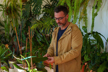 Man examining plant leaves, checking health and growth in his home garden for indoor horticulture hobby