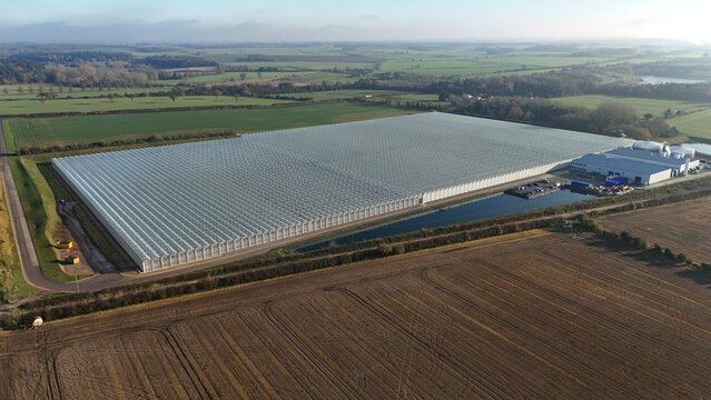 Aerial view of a vast, shimmering greenhouse complex reflecting the sky, bordered by fields, a ribbon of water, and industrial buildings, Bury Saint Edmunds, England, United Kingdom.