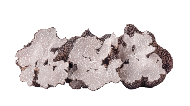 Sliced Alba truffle on white - Powered by Adobe