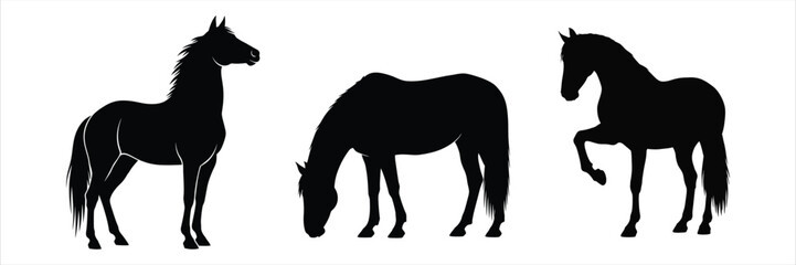 Silhouettes of Three Horses in Different Poses on a White Background