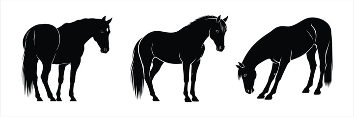 Collection of three elegant black horse silhouettes in various natural poses isolated on white