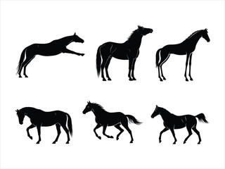 Dynamic collection of black horse silhouettes, illustrating diverse actions and elegant movements in equestrian art