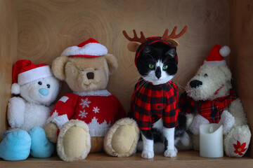 A cat dressed as a reindeer sits among stuffed animals