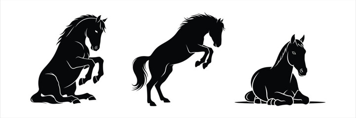 Dynamic black horse silhouettes showcase different equine forms and stages, from playful foal to majestic adult, captured in elegant vector illustrations