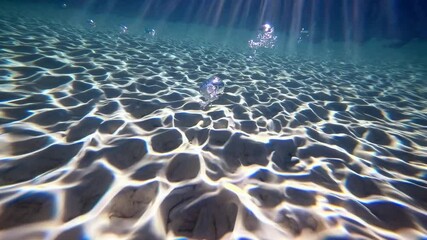 Underwater Rays of Light: Sunbeams cascade through crystal-clear water, illuminating a sandy seabed creating an ethereal aquatic experience.