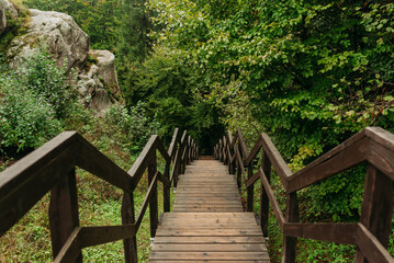 Wooden forest stairs on a mountain trail in the Carpathians — hiking path, wilderness and eco-tourism concept