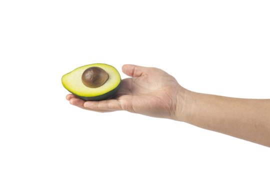 whole and half avocado and hand isolated on transparent background close-up.