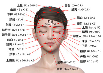 顔のツボ 日本人3Dモデル女性の顔のツボの図解イラスト 上半身顔アップ