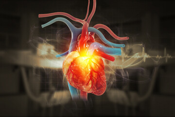 Human heart on ecg background. 3d illustration