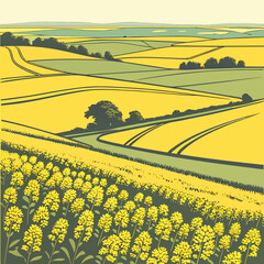 Stylized illustration of rolling yellow rapeseed fields and green pastures under a pale sky © h