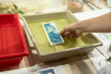 Cyanotype Print Washing Process