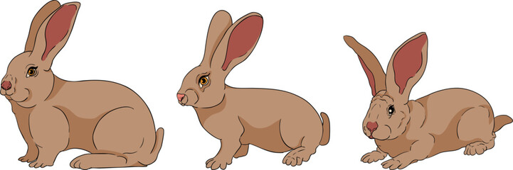 A vibrant and detailed set of colorful realistic vector illustrations depicting various elements of a modern farming and agricultural business.