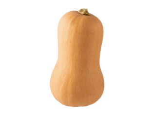 Fresh ripe butternut squash isolated on white background. Healthy autumn sweet honey pumpkin.