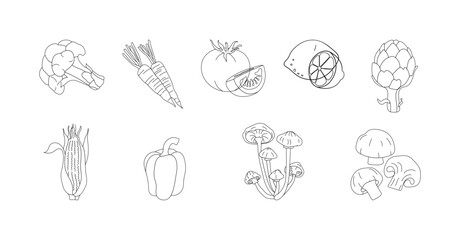 Vintage Engraving Style Vegetable and Fruit Line Art Cector.