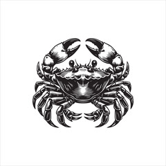 Vector Logo Illustration of a Crab on a White Background - Detailed Graphic