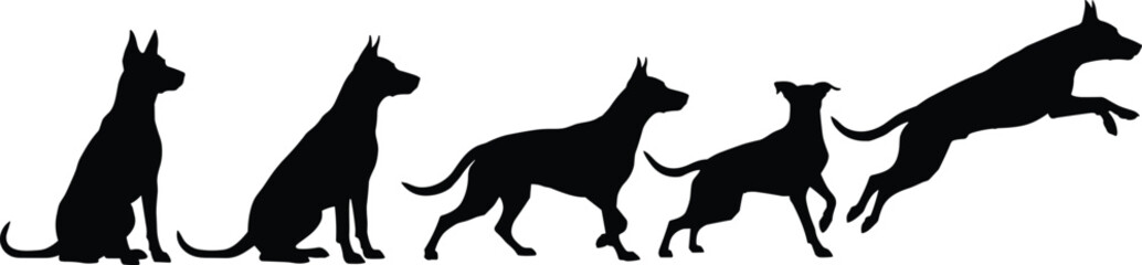 Dog movement silhouette sequence, sitting to leaping, black on white, posture icon, dynamic motion, pet activity, canine gesture, animation reference