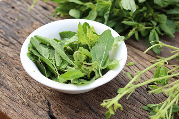 Fresh holy basil leaves on rustic wood