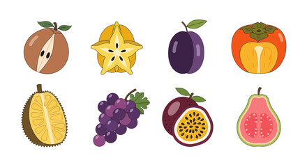 Assortment of vibrant stylized fruit illustrations on white background