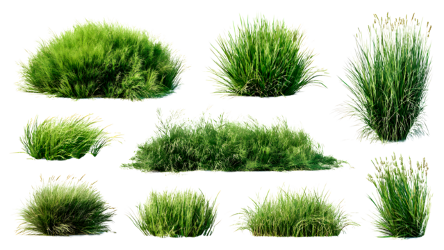 ia generated. Various clumps of green grass in different shapes and sizes, presented isolated on a white background for use in design and landscaping.