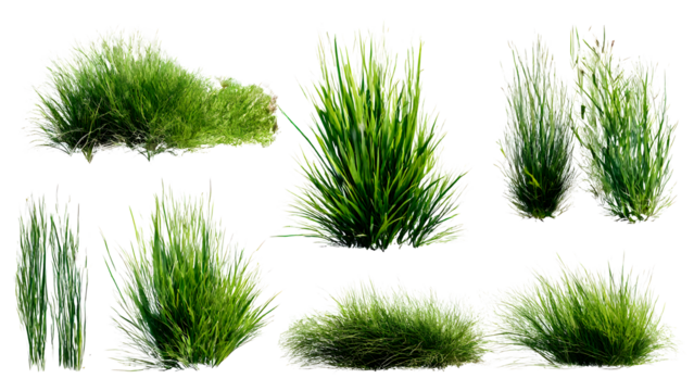 ia generated. Various clumps of green grass in different shapes and sizes, presented isolated on a white background for use in design and landscaping.