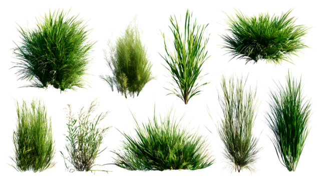 ia generated. Various clumps of green grass in different shapes and sizes, presented isolated on a white background for use in design and landscaping.