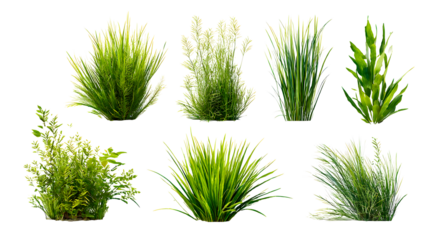 ia generated. Various clumps of green grass in different shapes and sizes, presented isolated on a white background for use in design and landscaping.
