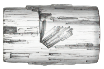 Natural white selenite crystal mineral stone with fibrous texture isolated on a transparent background