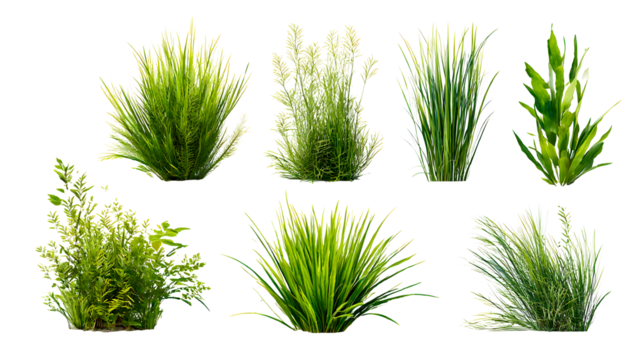 ia generated. Various clumps of green grass in different shapes and sizes, presented isolated on a white background for use in design and landscaping.