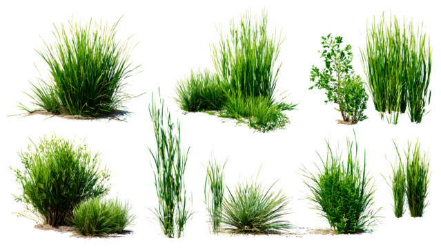 ia generated. Various clumps of green grass in different shapes and sizes, presented isolated on a white background for use in design and landscaping.