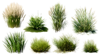 ia generated. Various clumps of green grass in different shapes and sizes, presented isolated on a white background for use in design and landscaping.