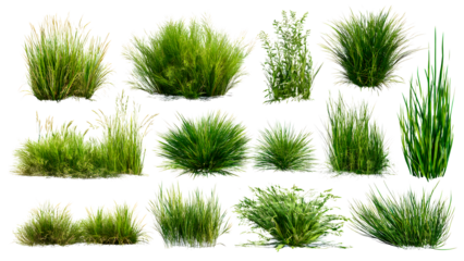 ia generated. Various clumps of green grass in different shapes and sizes, presented isolated on a white background for use in design and landscaping.