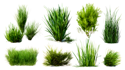 ia generated. Various clumps of green grass in different shapes and sizes, presented isolated on a white background for use in design and landscaping.
