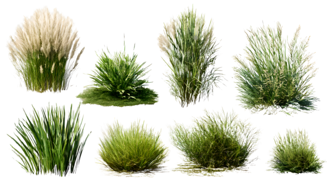 ia generated. Various clumps of green grass in different shapes and sizes, presented isolated on a white background for use in design and landscaping.