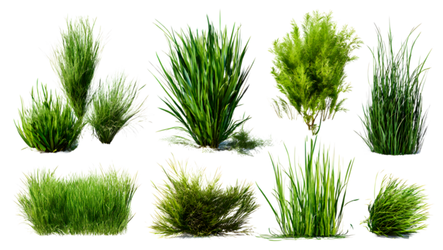 ia generated. Various clumps of green grass in different shapes and sizes, presented isolated on a white background for use in design and landscaping.
