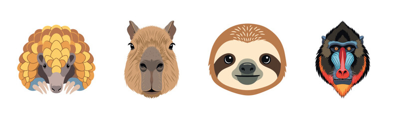 Obraz premium Cartoon faces of pangolin, capybara, sloth, and mandrill on white background