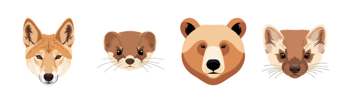 Illustrated animal faces: fox, ferret, bear, weasel - wildlife art collection
