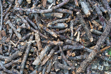 A pile of tree twigs, cut stems and branches arranged irregularly on the ground, the rough texture of the wood creates a natural and rustic impression
