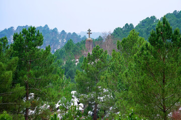 Cross of Lorraine pinion of Maquisards under snow in Fontainebleau forest	