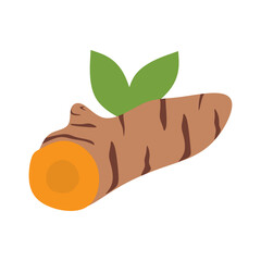 Flat Illustration of Turmeric Root and Leaves for Health