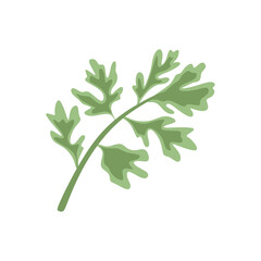 Flat Illustration of Wormwood Plant for Herbal Medicine