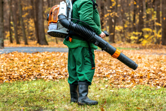 Autumn Leaf Cleaning in the Park