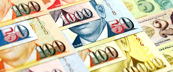 Singapore Dollar currency money bills. SGD currency banknotes in bunch with different denomination close up
