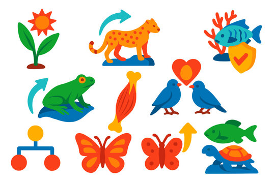 Evolutionary Adaptation Icons. Isometric vector illustration set Apparent purposefulness in organisms: plant and animal